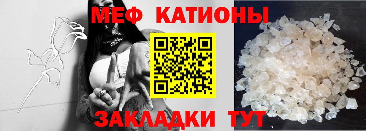 МЕФ  Гатчина
