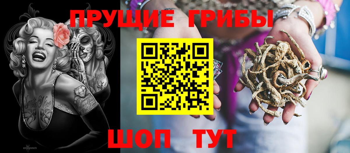 Гатчина  закладка  Вход с VPN  Галлюциногенные грибы MAGIC MUSHROOMS  Галлюциногенные грибы Psilocybe 
